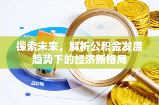 新林探索未来，解析公积金发展趋势下的经济新格局