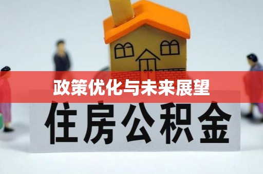 新林政策优化与未来展望