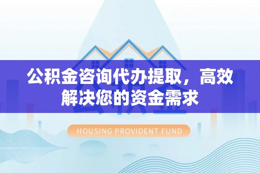 新林公积金咨询代办提取，高效解决您的资金需求