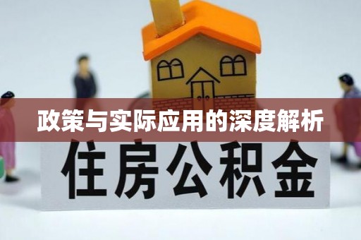 新林政策与实际应用的深度解析