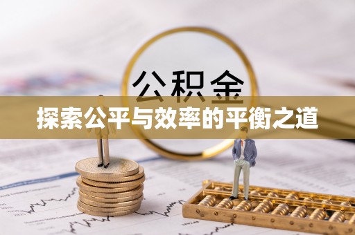 新林探索公平与效率的平衡之道
