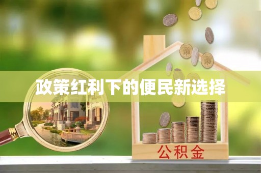 新林政策红利下的便民新选择