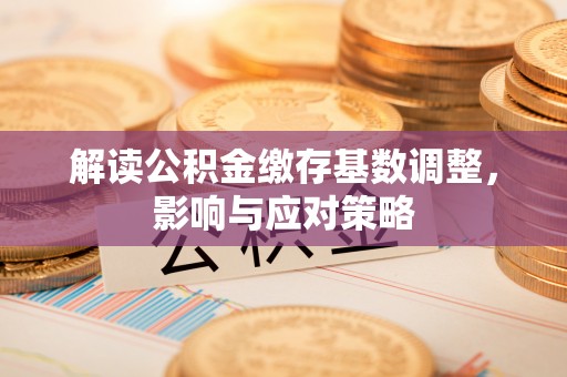 新林解读公积金缴存基数调整，影响与应对策略
