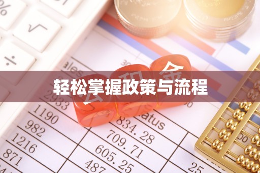 新林轻松掌握政策与流程