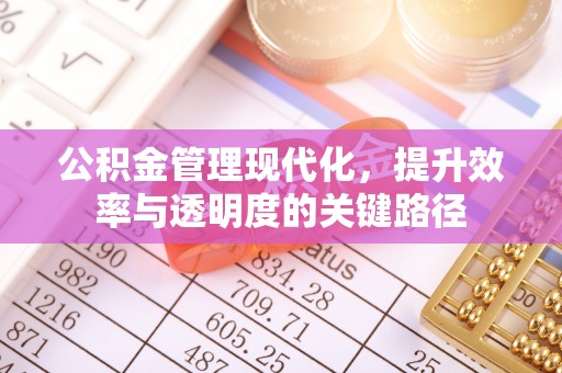 新林公积金管理现代化，提升效率与透明度的关键路径