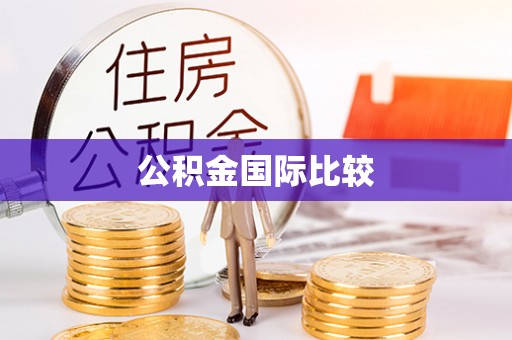 新林公积金国际比较
