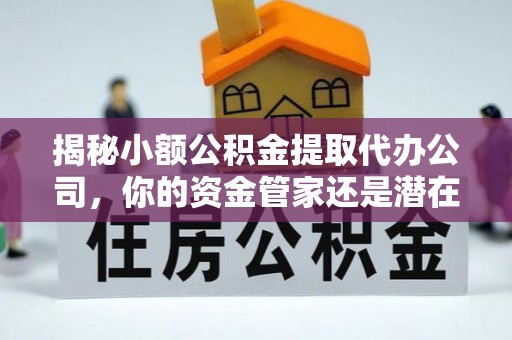 新林揭秘小额公积金提取代办公司，你的资金管家还是潜在风险？