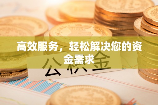 新林高效服务，轻松解决您的资金需求