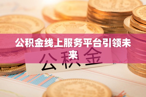 新林公积金线上服务平台引领未来