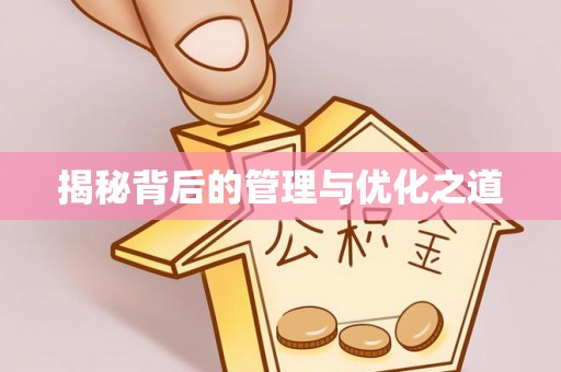 新林揭秘背后的管理与优化之道