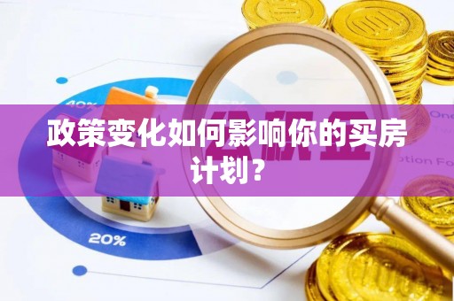 新林政策变化如何影响你的买房计划？