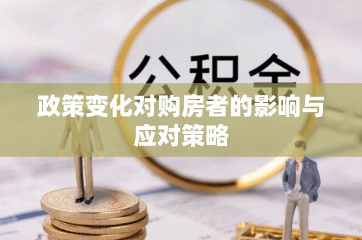新林政策变化对购房者的影响与应对策略