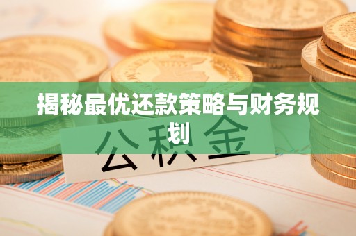 新林揭秘最优还款策略与财务规划