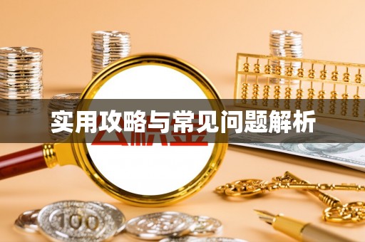新林实用攻略与常见问题解析