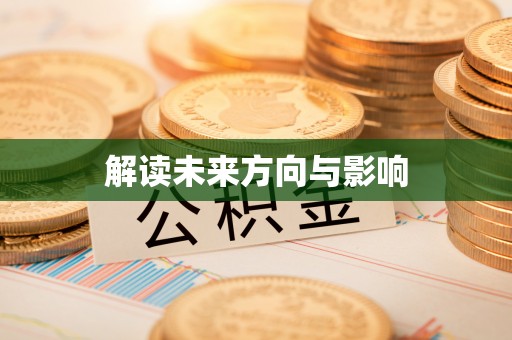 新林解读未来方向与影响