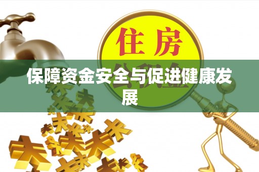 新林保障资金安全与促进健康发展