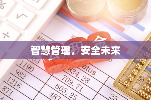 新林智慧管理，安全未来