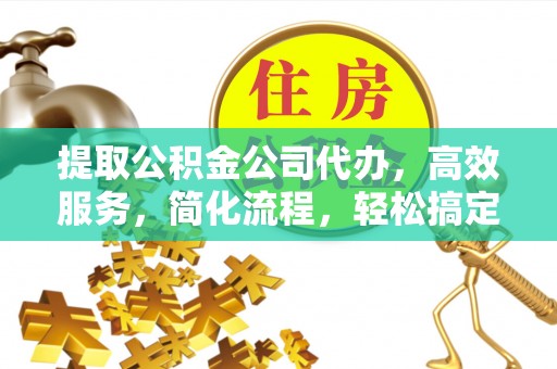 新林提取公积金公司代办，高效服务，简化流程，轻松搞定资金难题