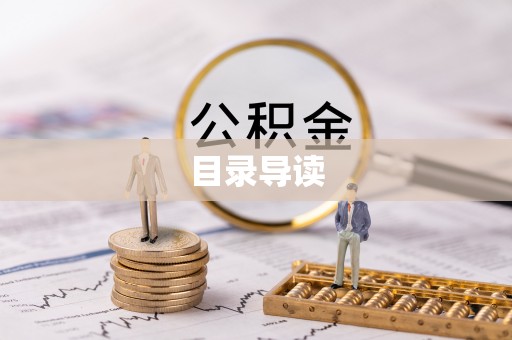 新林目录导读