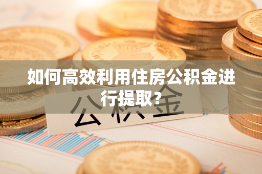 新林如何高效利用住房公积金进行提取？
