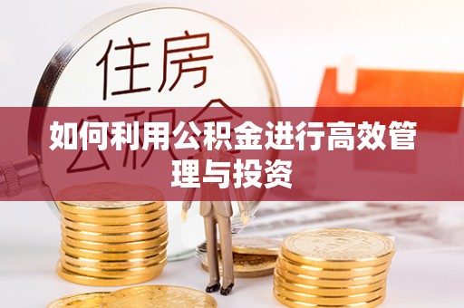 新林如何利用公积金进行高效管理与投资