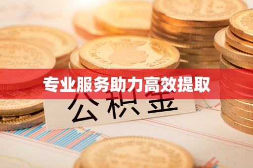 新林专业服务助力高效提取
