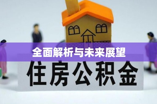 新林全面解析与未来展望