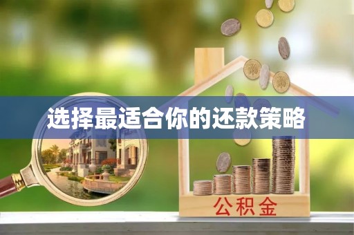 新林选择最适合你的还款策略