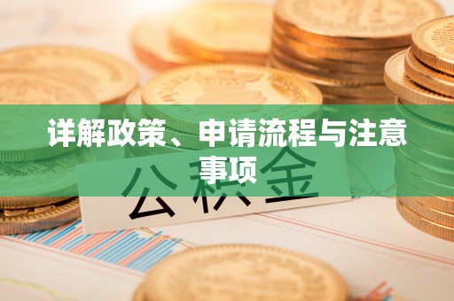 新林详解政策、申请流程与注意事项