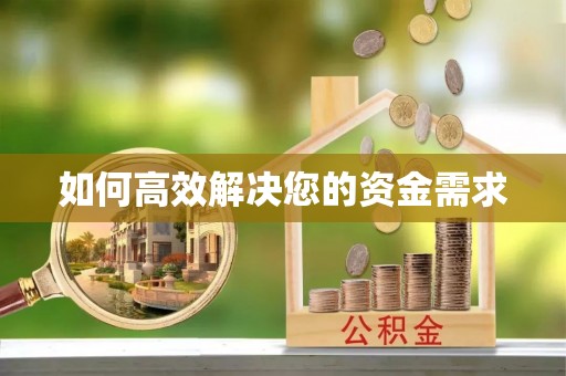 新林如何高效解决您的资金需求
