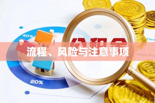 新林流程、风险与注意事项