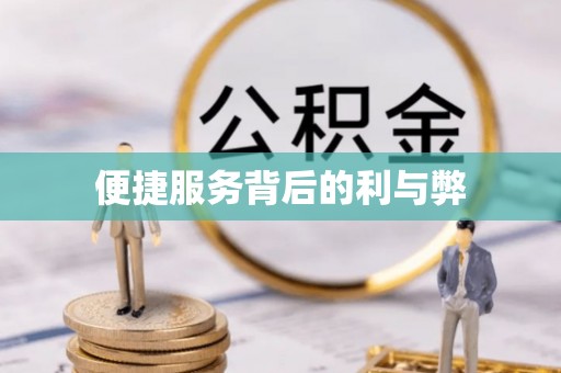 新林便捷服务背后的利与弊