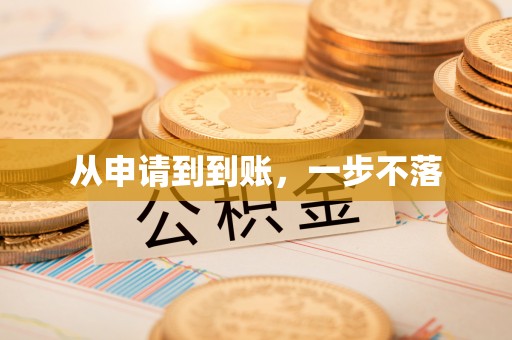 新林从申请到到账，一步不落