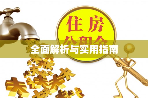 新林全面解析与实用指南