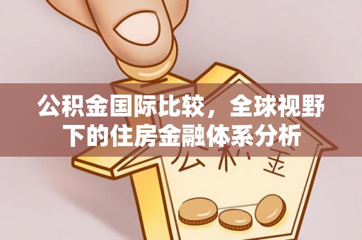 新林公积金国际比较，全球视野下的住房金融体系分析