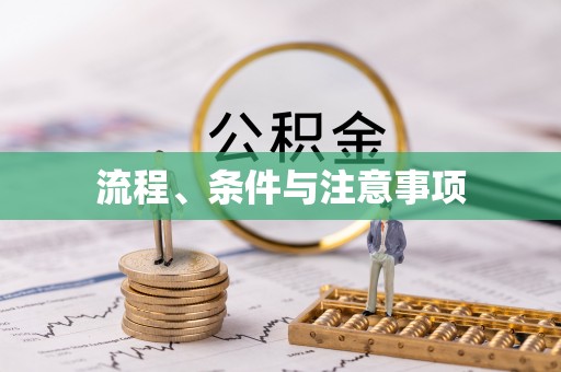 新林流程、条件与注意事项