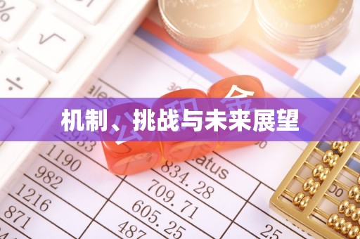新林机制、挑战与未来展望